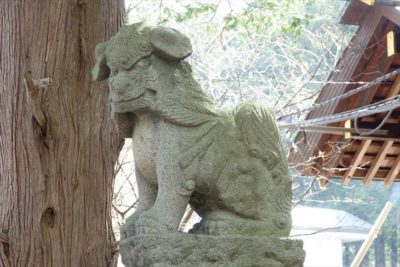 北海道神宮 狛犬様
