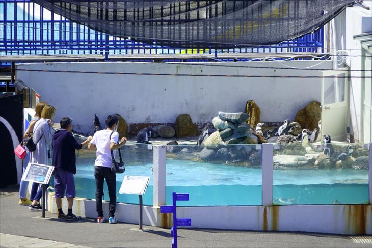 小樽市鰊御殿から見たおたる水族館
