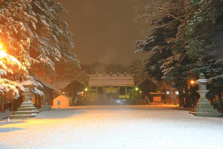 夜の北海道神宮